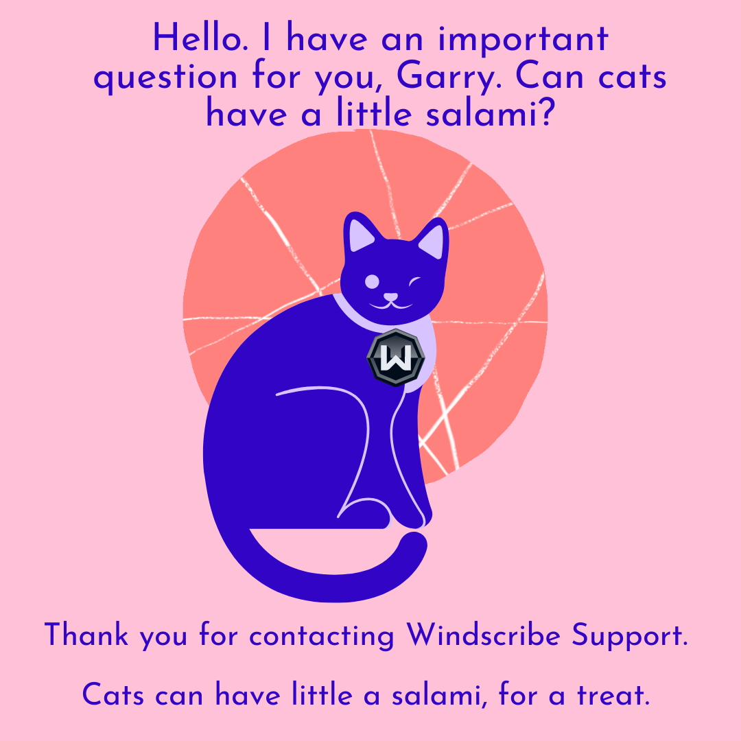 Graphic showing an illustration of a cat with a slice of salami in the background. Text reads: Hello. I have an important question for you, Garry. Can cats have a little salami? Thank you for contacting Windscribe Support. Cats can have little a salami, for a treat.